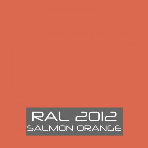 RAL 2012 Salmon Orange tinned Paint